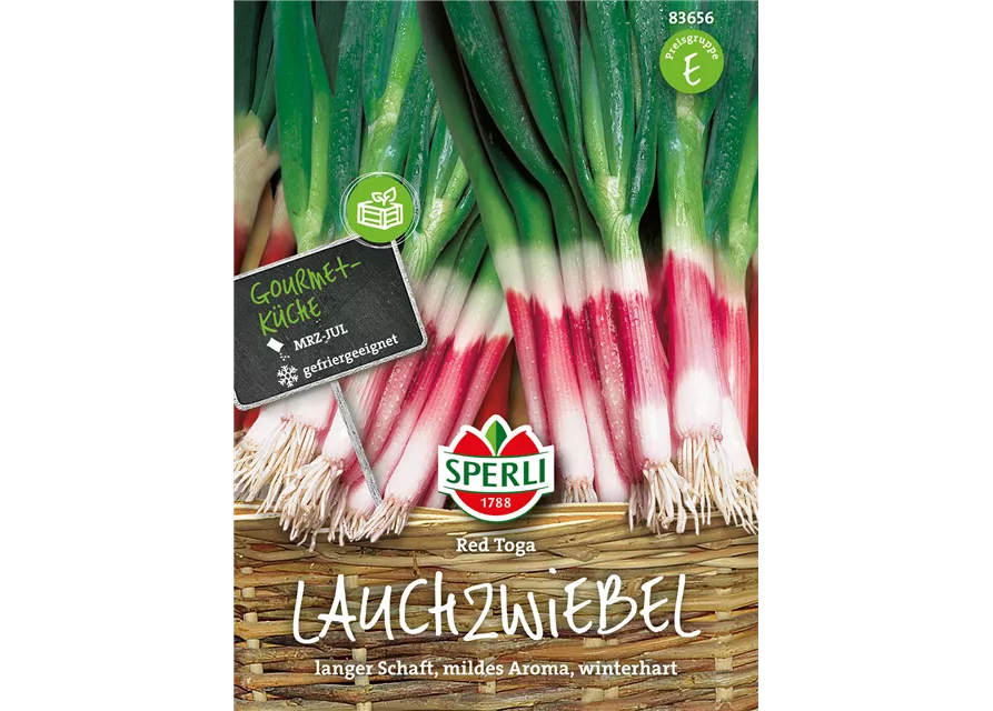 Lauchzwiebel 'Red Toga'
