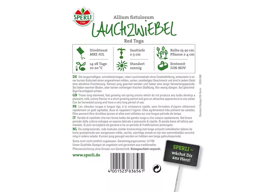 Lauchzwiebel 'Red Toga'