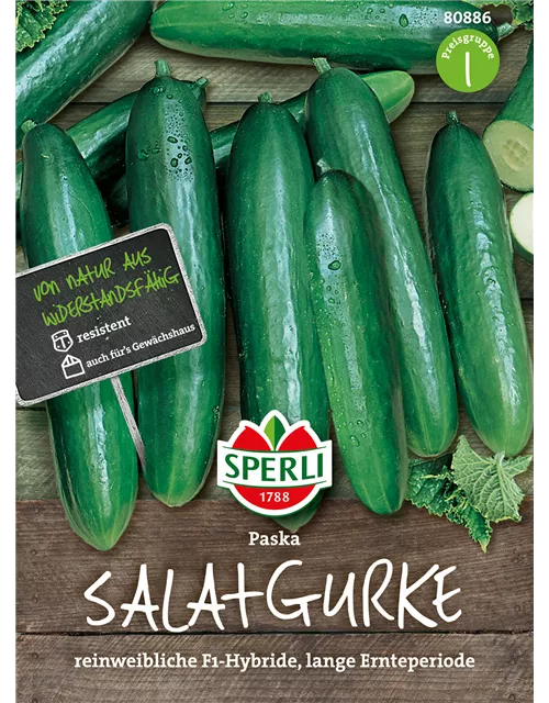 Salatgurken 'Paska'