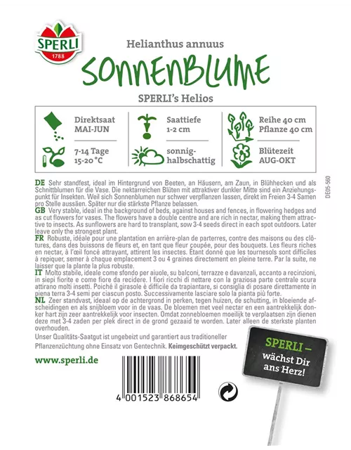 Sonnenblume 'Helios'