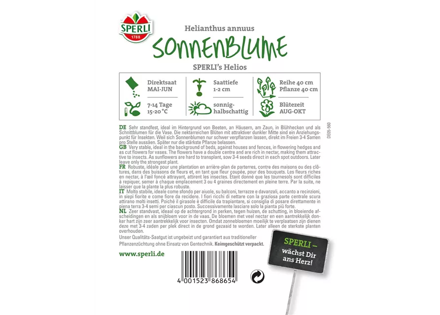 Sonnenblume 'Helios'