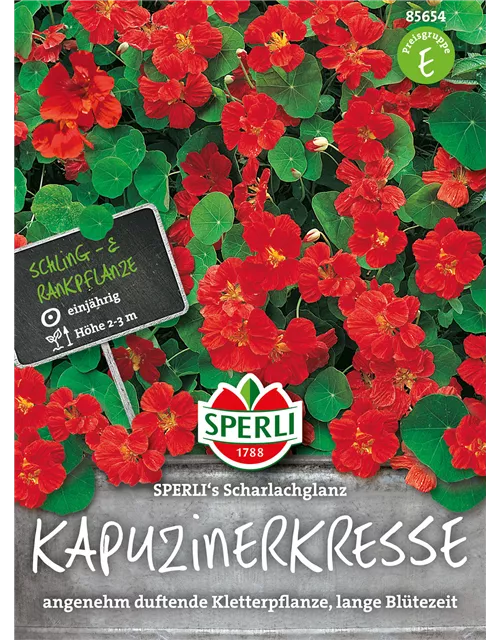 Kapuzinerkresse 'Scharlachglanz'