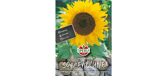 Sonnenblume 'Henry Wilde'