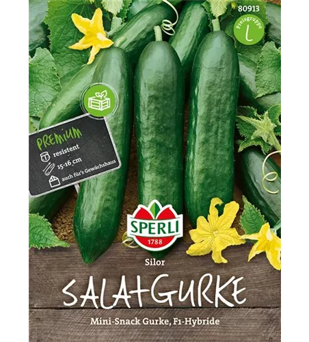 Gurke 'Silor F1'