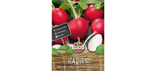 Radieschen 'Riesenbutter'