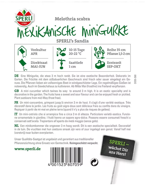 Mexikanische Minigurke 'Sandia'