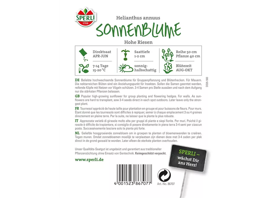 Sonnenblume 'Hohe Riesen'