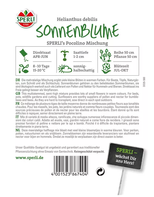 Sonnenblume 'Pocolino'