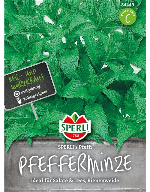 Pfefferminze 'Pfeffi'