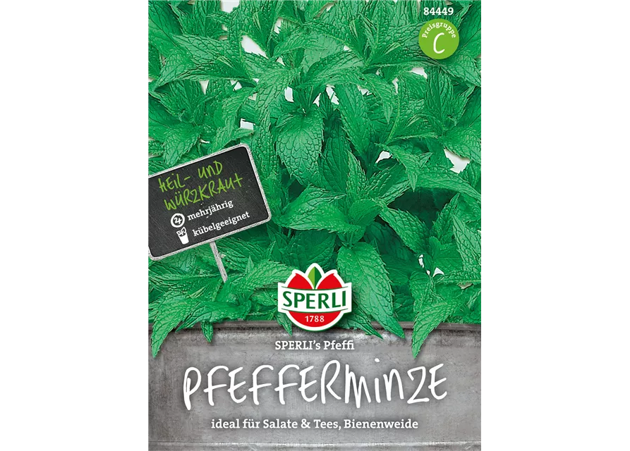 Pfefferminze 'Pfeffi'