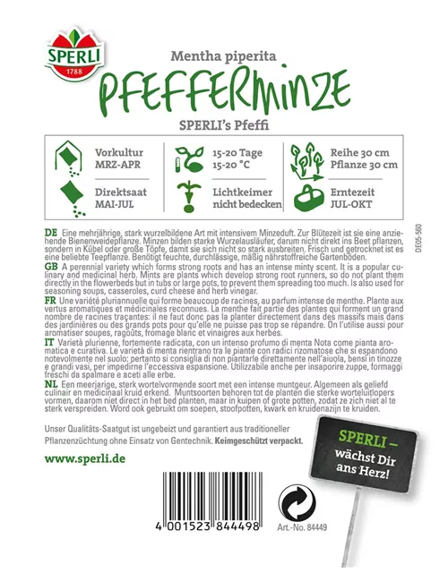 Pfefferminze 'Pfeffi'