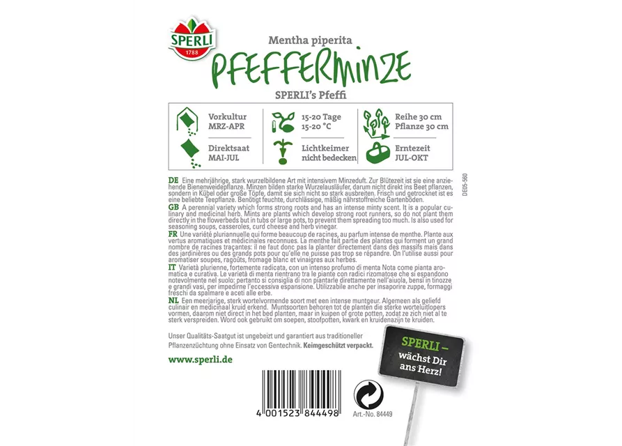 Pfefferminze 'Pfeffi'