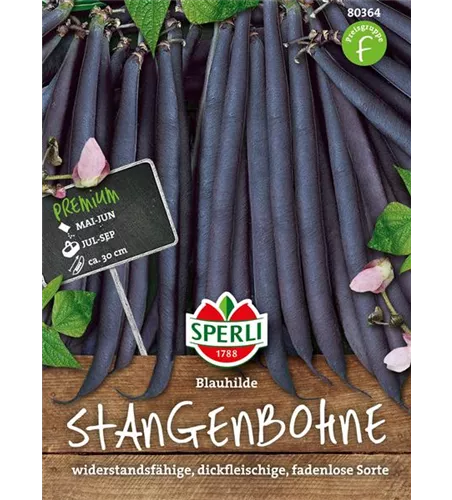 Stangen-Bohne 'Blauhilde'