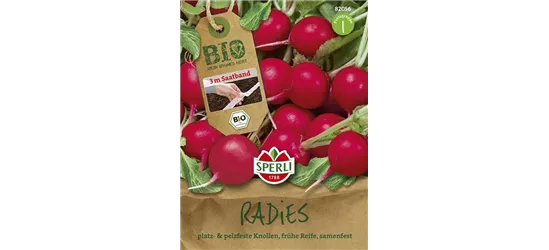 Radieschen 'Rudolf'