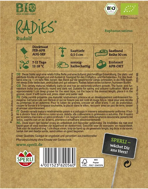 Radieschen 'Rudolf'