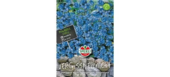 Wald-Vergissmeinnicht 'Blue Ball'