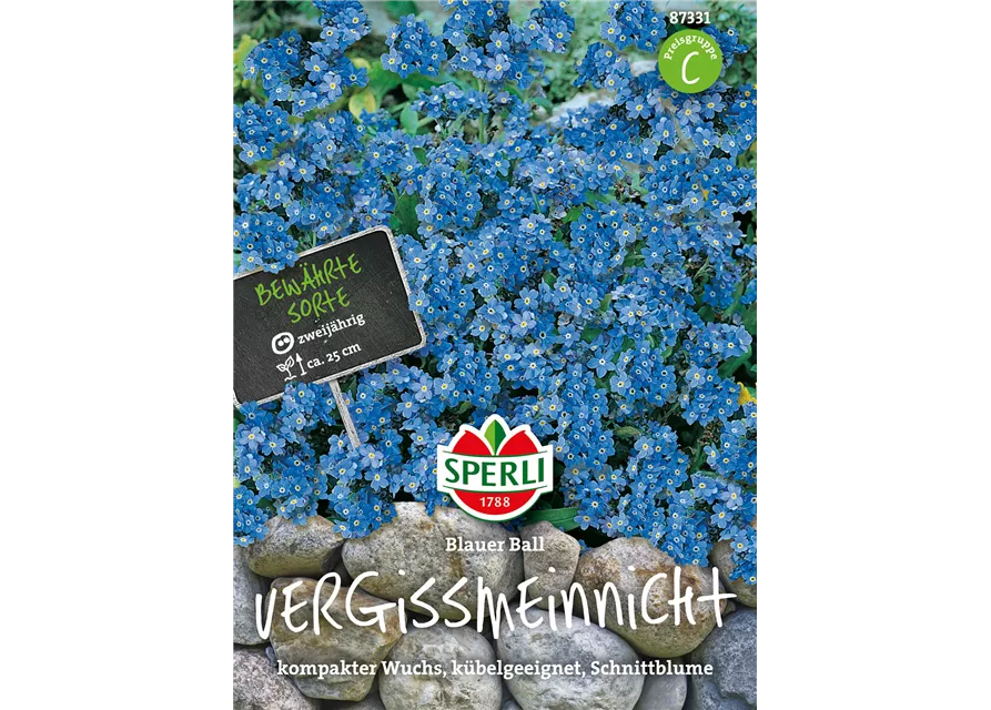 Wald-Vergissmeinnicht 'Blue Ball'