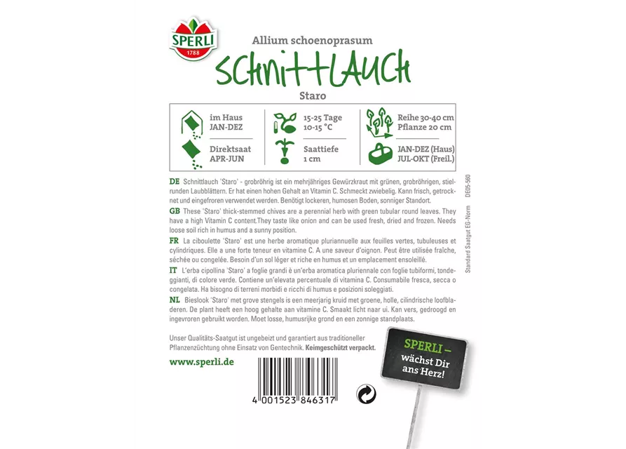 Schnittlauch 'Staro'