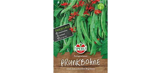 Prunk-Bohne 'Preisgewinner'
