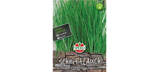 Schnittlauch 'Twiggy'