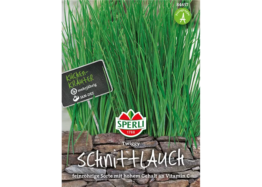 Schnittlauch 'Twiggy'