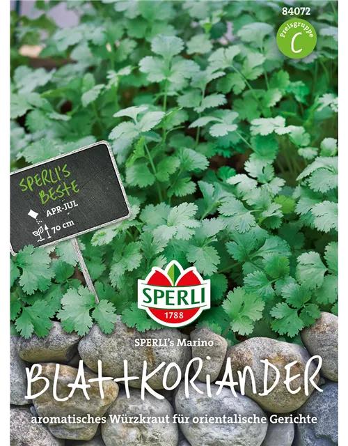 Blattkoriander 'Marino'