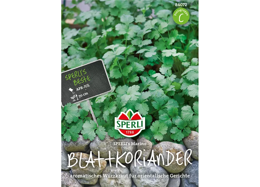 Blattkoriander 'Marino'