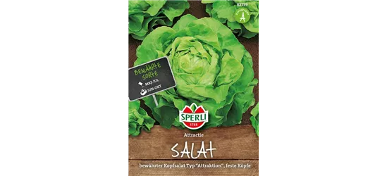 Kopfsalat 'Attraktion'