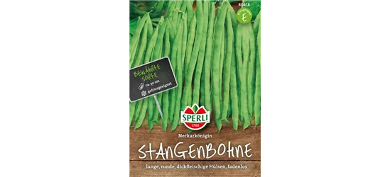 Stangen-Bohne 'Neckarkönigin'