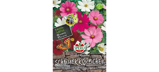 Fiederblättriges Schmuckkörbchen 'Sensation'