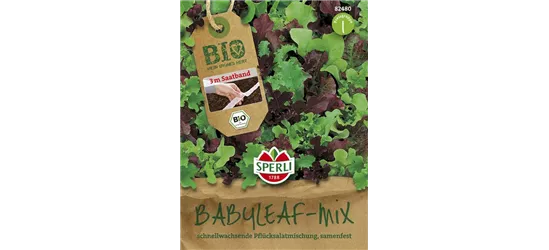 Babyleaf-Salat