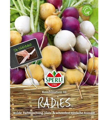 Radieschen Kombination 'Zlata, Viola, Albena'