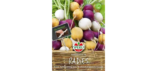 Radieschen Kombination 'Zlata, Viola, Albena'