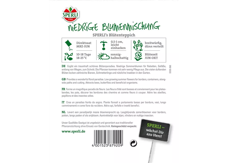 Niedrige Sommerblumen