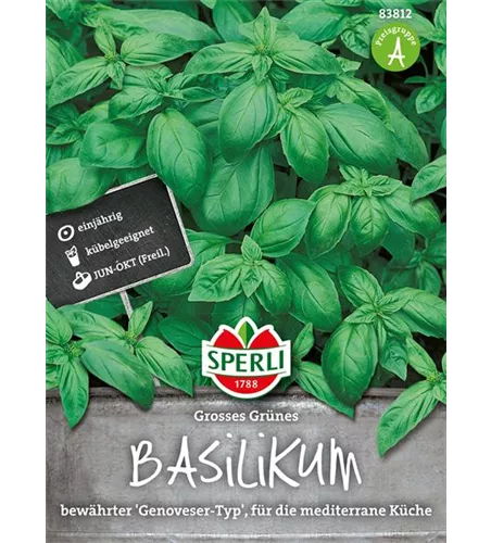 Garten-Basilikum 'Großes Grünes'