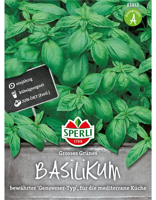 Garten-Basilikum 'Großes Grünes'