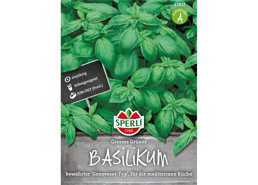 Garten-Basilikum 'Großes Grünes'