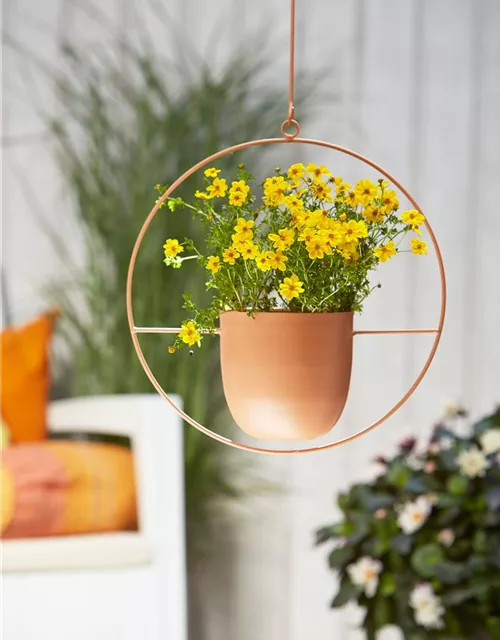 Schale Metall zum Hängen