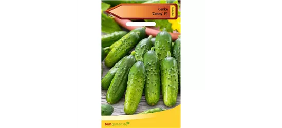 Einlegegurke 'Conny F1'