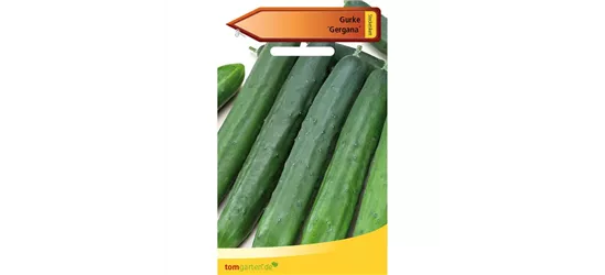 Freilandgurke 'Gergana'