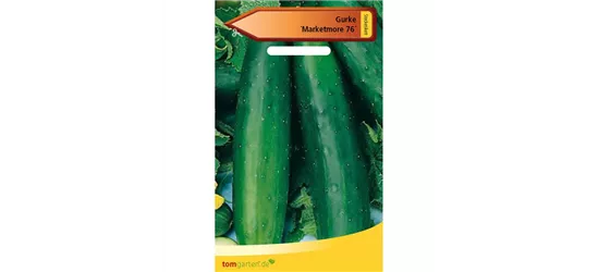Gurke 'Marketmore'