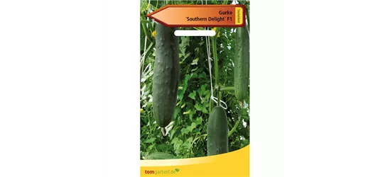Gurke 'Southern Delight'