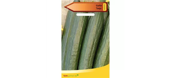 Gurke 'Tanja'