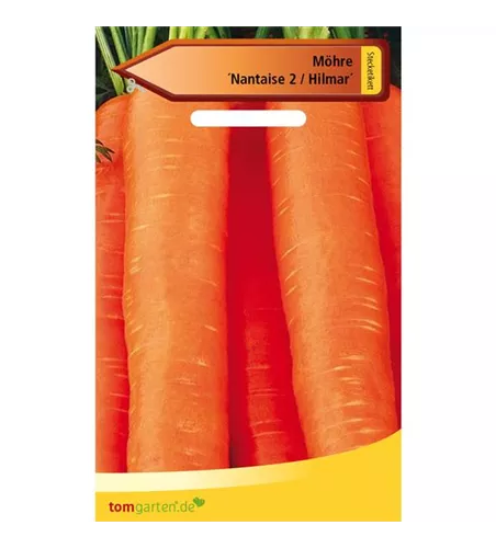 Möhre 'Hilmar'