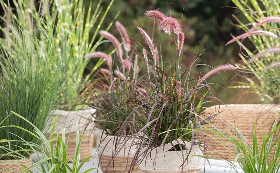 Highlights im Garten - Pflanzgefäße für außen