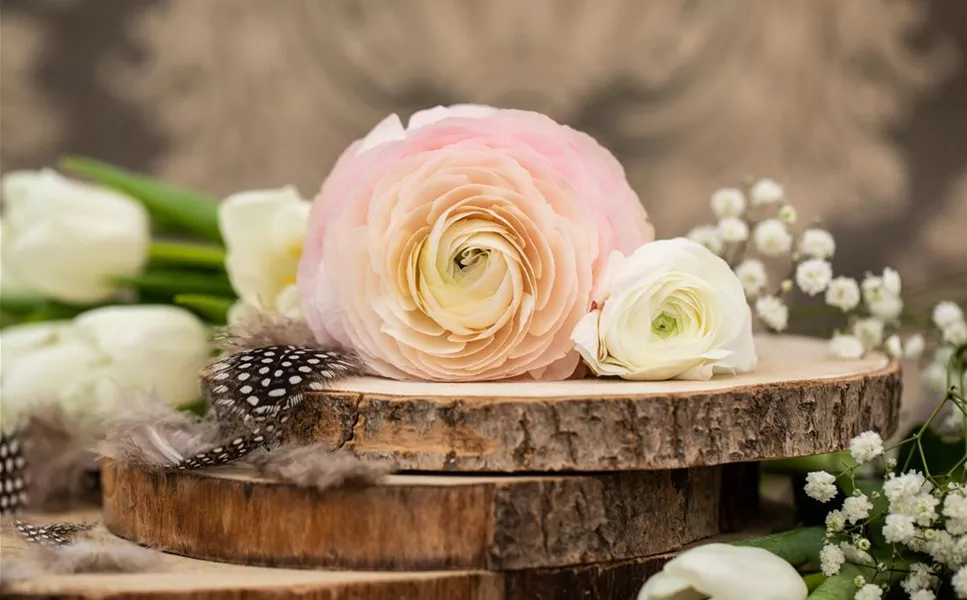 Gemütlich und stilvoll - Dekoration für innen