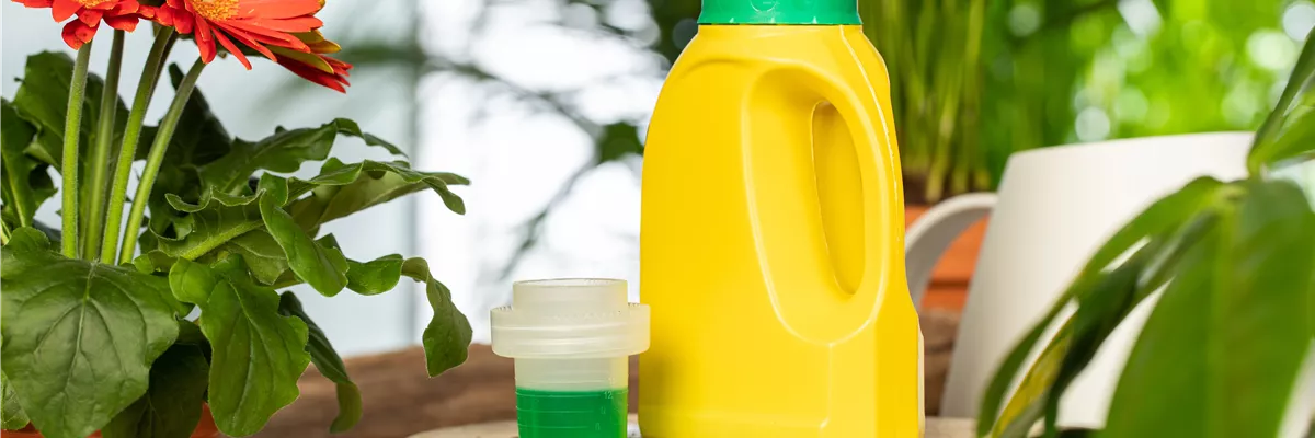 Pflanzenpflege - Flüssigdünger