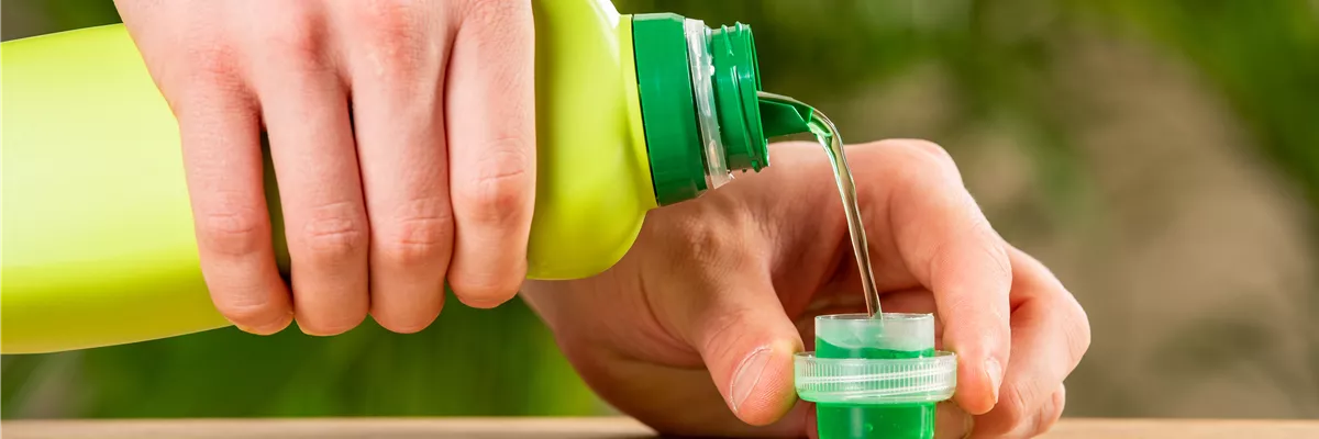 Pflanzenpflege - Flüssigdünger