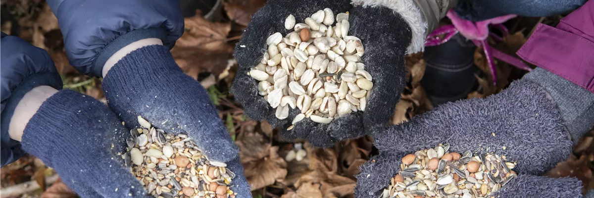 Vogelfutter in Händen