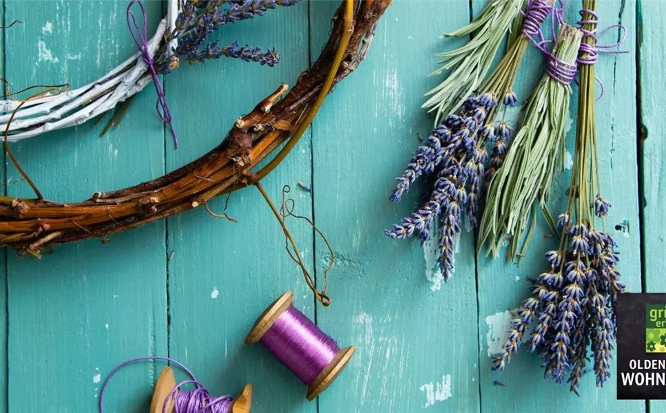 Kreativzeit - Entdecke unsere Workshops